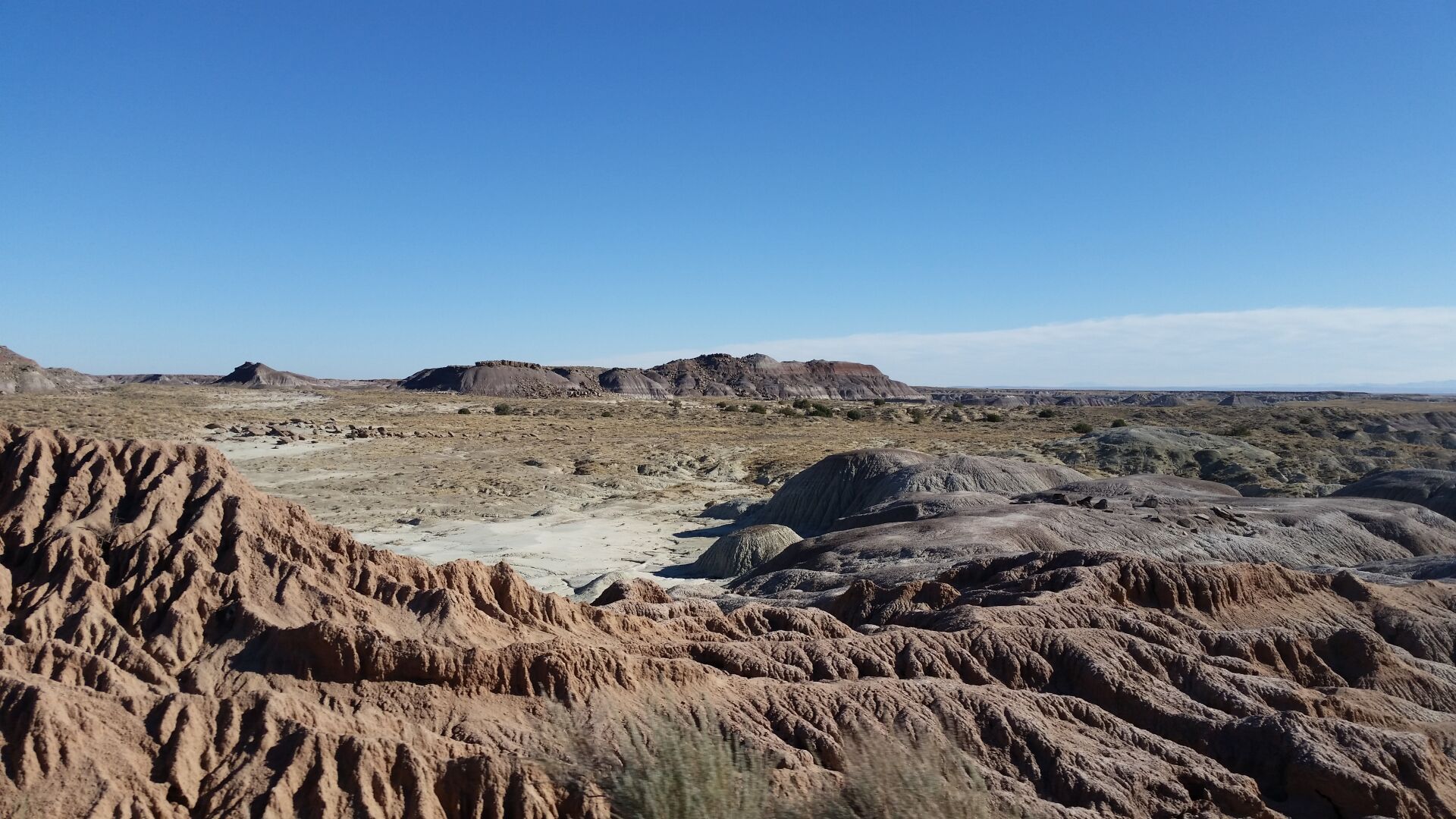 Mine Tales: Petrified Wood & Uranium & Potash Mining in the Holbrook Basin